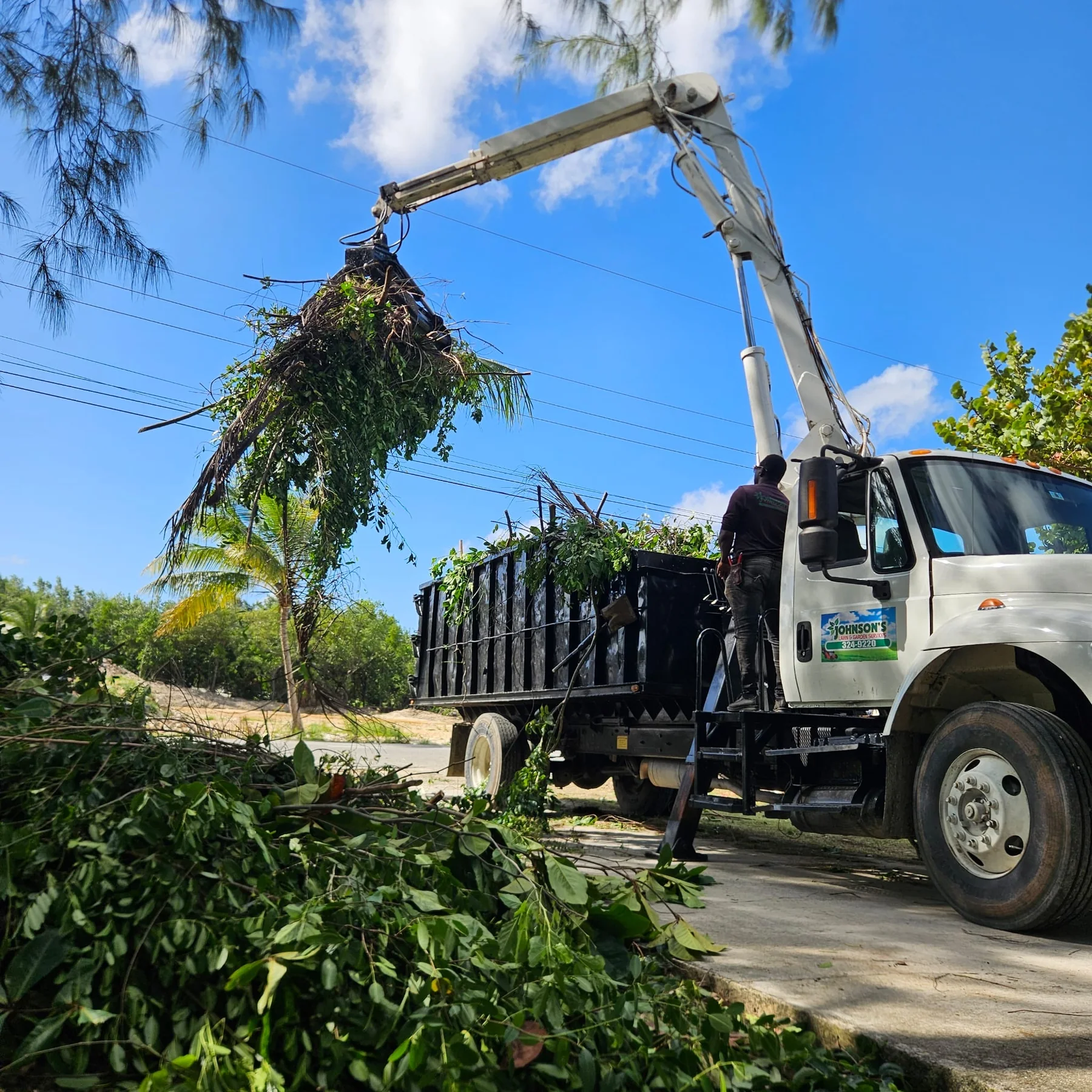 Bucket truck removing tree debris in Grand Cayman